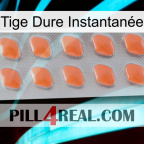 Tige Dure Instantanée 26